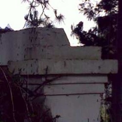 Rumah Mewah di Komplek Setrasari Masih Diserang Ulat Bulu