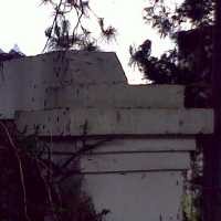 Meski Ulat Sudah Lenyap, Warga Diminta Tetap Waspada