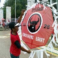 Ratusan Layang-layang Banteng Terbang di GBK