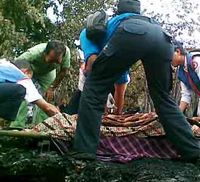Ibu dan Anak Tewas Terbakar