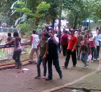 Liburan Pemilu Ragunan Ramai