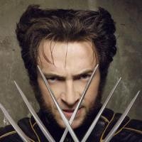 Wolverine Colongan Bikin Kolumnis Internet Dipecat