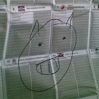 Kucing Meringis Hiasi Surat Suara di Situ Gintung