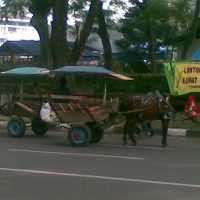 Tukang Delman Soreang Ekspansi ke Gedung Sate