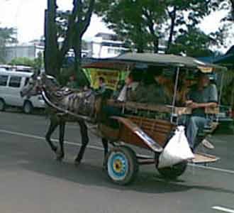 Delman Serbu Bandung