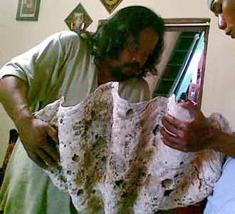 Baron Temukan Fosil Cangkang Kerang