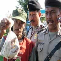 Polisi akan Usut Pembuangan Ayam Busuk           