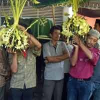 Dua Kembang Mayang Dampingi Makam Nita