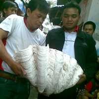 Ada Peneliti yang Ngaku Siap Datangkan Kurator dari Luar Negeri