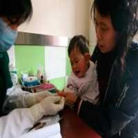 Korban Jiwa Terus Berjatuhan Akibat Penyakit Kuku dan Mulut di China