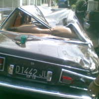 Suara Pohon Tumbang Terdengar Hingga Radius 200 Meter