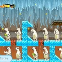 Penguin Nekat Menerjang Beruang Kutub