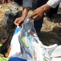 Pejalan Kaki Tewas Diseruduk KA Penataran