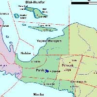 Lokasi Tertutup Kabut, Tim SAR Baru Dekati Bangkai Pesawat 19 April