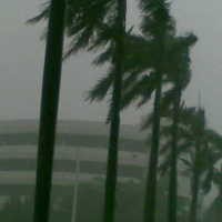 Pohon Tumbang Remukkan Bajaj & Yaris, Jl Agus Salim Ditutup