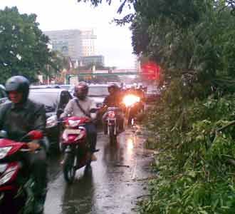 Gambir Pasca Puting Beliung