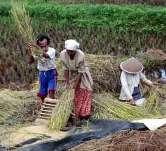 Emansipasi Perempuan & Jerat Kemiskinan