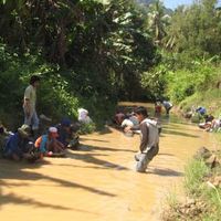Berburu Emas di Sungai Gunung Pitu