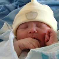 Dokter AS Mengklaim Telah Mengkloning Embrio Manusia