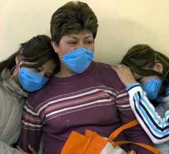 Flu Babi Tewaskan 60 Orang