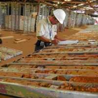 Judith Soeryadjaya Kuasai Tambang Martabe