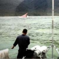 1 Korban Ditemukan, Sebagian Tubuhnya Dimakan Ikan