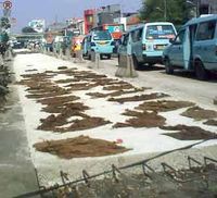 Busway di Beton, Macet Mengular