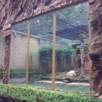 Binatang Buas Akan Tempati Kandang Anti Peluru