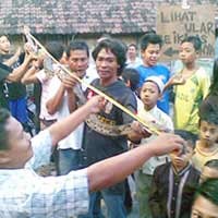 Ular Phyton Sepanjang 3,7 Meter Hebohkan Warga