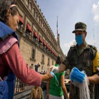 Virus Flu Babi Kini Masuk ke Brasil dan Argentina