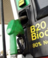 Amerika Lepaskan Ketergantungan Minyak dengan Misi Hijau