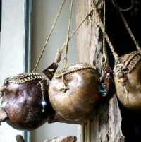 Tas Unik dari Buah Brenuk