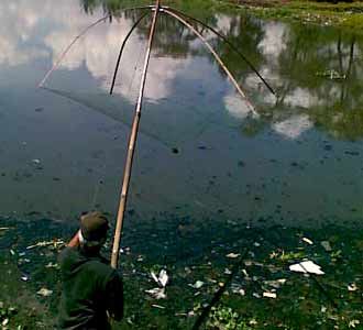 Buang Enceng Gondok, Usir Ancaman Banjir