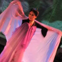 Pesona Kupu-kupu Untuk Para Odapus