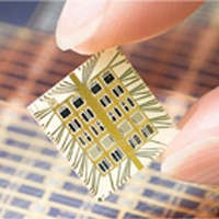 Penemu Arab Ciptakan Chip Pencabut Nyawa