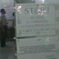 Pasien Suspect Flu Babi Pertama di Bandung Pulang 