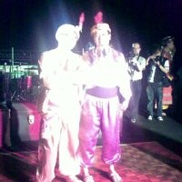 Arabian Night di Atap Hyatt