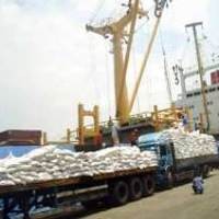 Batas Waktu Ekspor Beras Premium Takkan Diperpanjang