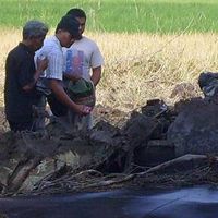 Keluarga Korban Hercules Tabur Bunga