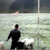 Akibat Dua Kapal Bersenggolan, 50 Kapal Tertahan