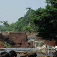 5 Ribu Pohon Ditanam di Situ Gintung