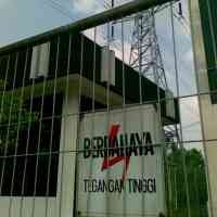 PLN Minta Margin Listrik Agar Layak di Mata Obligor