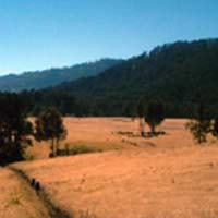 Polisi Ikut Mencari, Jejak Belum Ditemukan