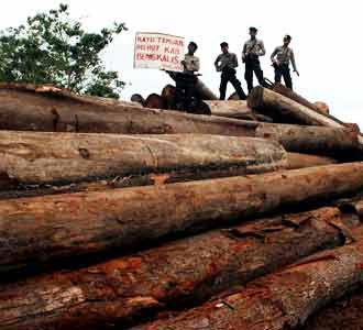 Ribuan Kayu Ilegal Ditemukan di Riau