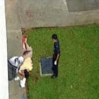 David & Prof Chan Sempat Berebut Pisau