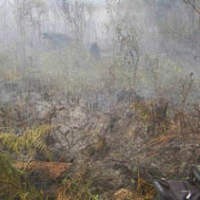 Kabut Asap Landa Riau, TK dan SD Diliburkan