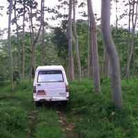 5 Siswa Ditemukan Selamat di Sekitar Air Terjun Darungan