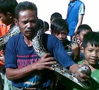 Ular Sanca Ditemukan di Kloset