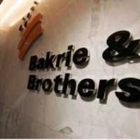 Bakrie & Brothers Petik Laba Tipis di Triwulan I-2009