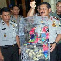 Penjual Satwa Dilindungi Diamankan